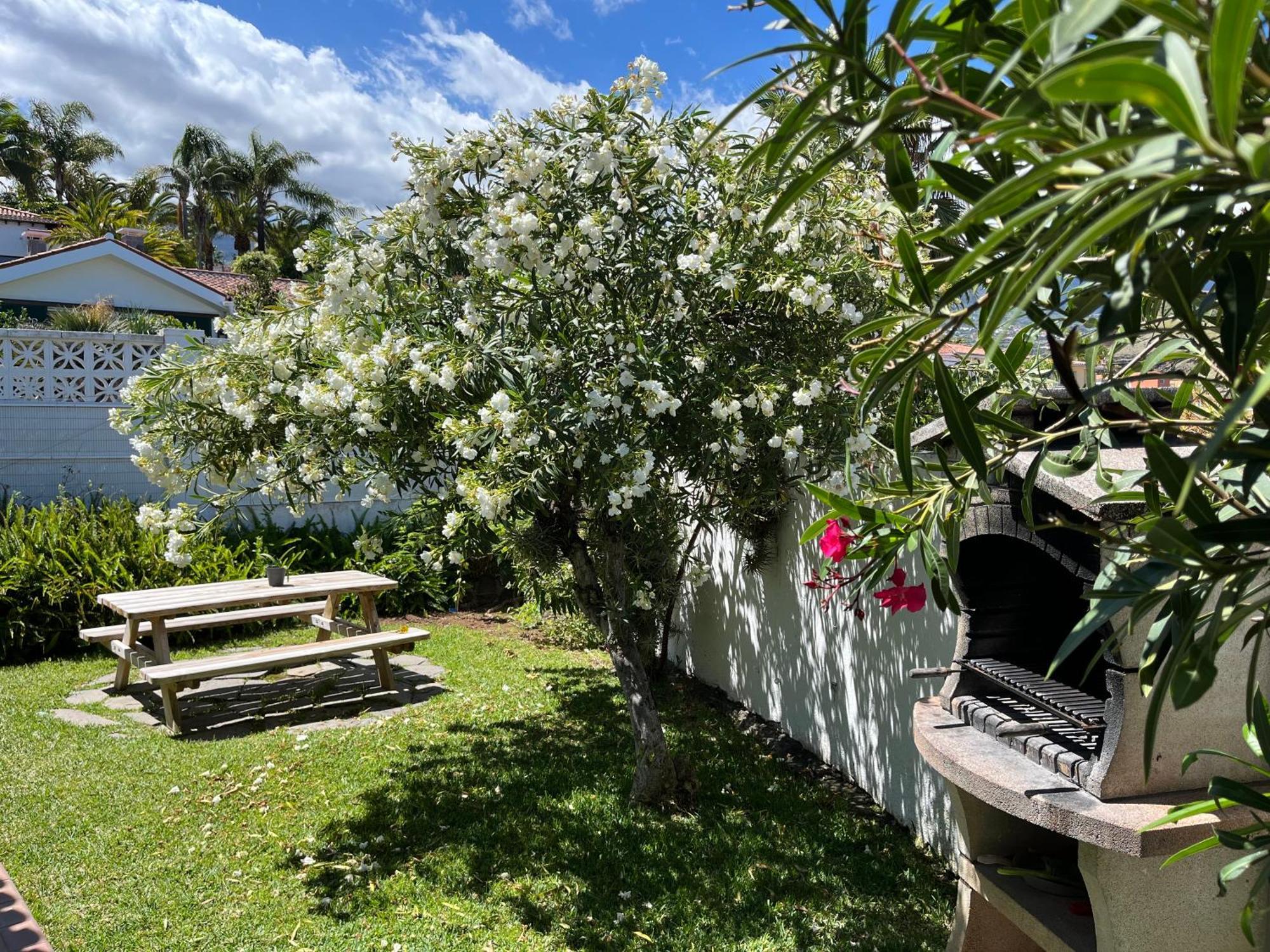 Feriehus Casa Janni With Heated Private Pool Puerto de la Cruz (Tenerife)